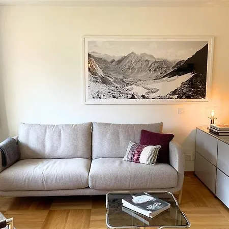 302 - Zentrales アパート エンゲルベルク